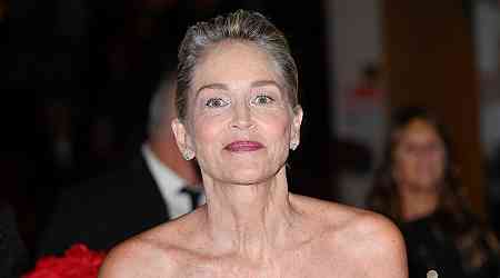 Sharon Stone chastises 'ignorant, arrogant' Americans in rant against fascism