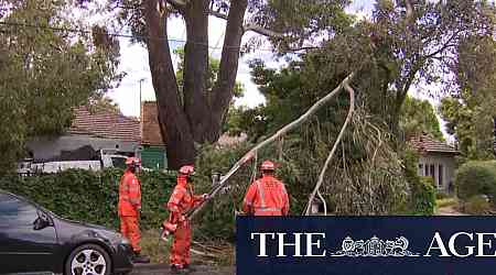 Man killed, teenager injured after tree branch falls near campsite on Victorian border