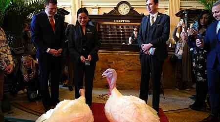 The Willard InterContinental hosts pardoned Thanksgiving turkeys before their White House visit