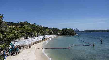 Photos confirm worst fears for iconic beach