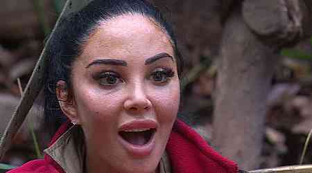 ITV I'm A Celeb fans only just discovering identity of Tulisa Contostavlos' famous father