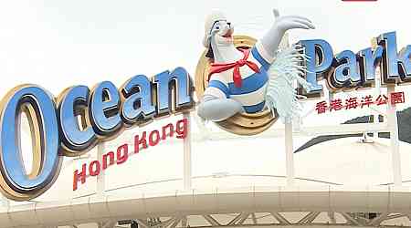 Ocean Park sees deficit despite visitor, income surge