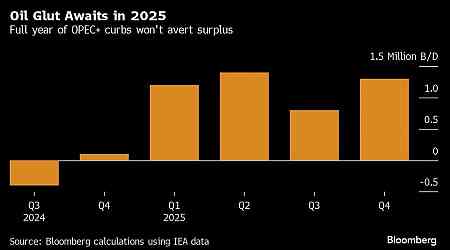 OPEC+ Delays Online Meeting on Supply to Dec. 5, Delegates Say