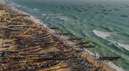 PHOTOS: A drone's eye view of 'foodscapes,' from cattle to soybeans to shrimp