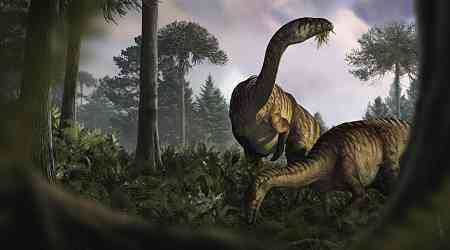 Fossilized dinosaur feces and vomit help scientists reconstruct the creatures' rise