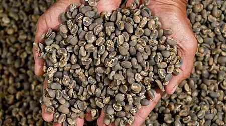 Supple fears have arabica set for largest monthly gain since 2014