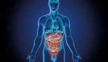 Most comprehensive picture yet of how organs age at different rates