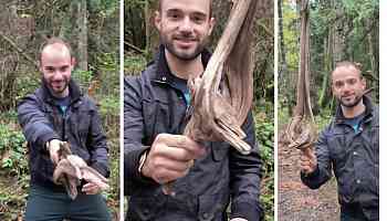 Wood you believe it? B.C. man wins hotly contested Stick of the Year contest