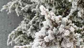 Rime ice, snow pellets cover Taiwan's tallest peaks