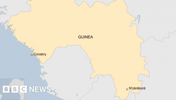 Dozens killed in crush at Guinea football match - reports