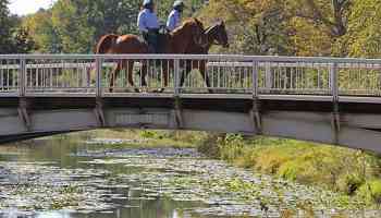 Adding horses to the St. Charles County police would be 'totally cool,' councilman says