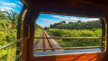 Il treno della giungla