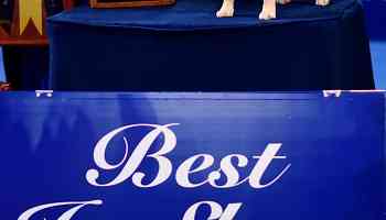 National Dog Show 2024 Results: Best in Show and List of Winners