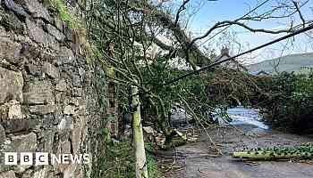 Thousands in Northern Ireland still without power after Storm Darragh