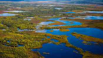 The Famous Bering Land Bridge Was More Like a Swamp, Geologists Say