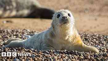 National Trust warns UK's most precious heritage at risk from extreme weather