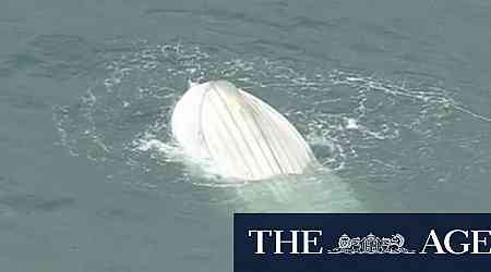 Man dies after boat capsizes off Perth coast