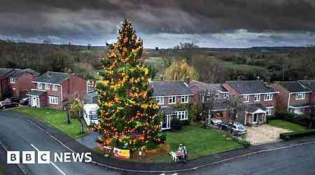 Front garden's 50ft Christmas tree set to light up