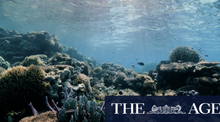 Untapped beauty: The battle to save the wild Scott Reef from mining