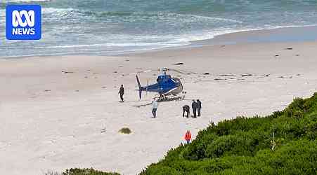 'Helicopter safari' at Tasmanian wilderness beach sparked confusion, investigations, documents show