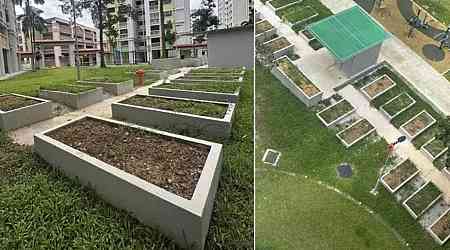 Spooky or not? Some Choa Chu Kang residents say community garden resembles cemetery