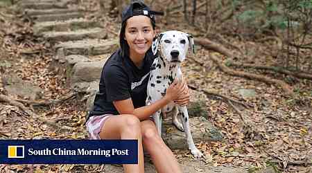 Ex-Hong Kong beauty queen fears for third pet dog after 2 die by poisoning