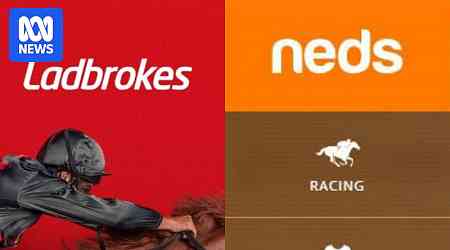 Owner of Ladbrokes and Neds sued for alleged anti-money laundering failure