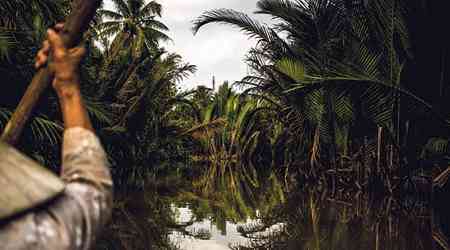 Menaces sur le riz vietnamien