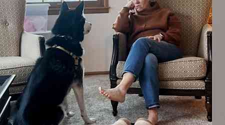 WATCH: Husky doesn't understand why grandma doesn't have his favorite jerky