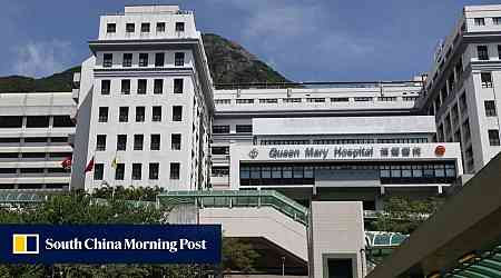 Suspected pufferfish poisoning leaves 2 Hong Kong men in hospital