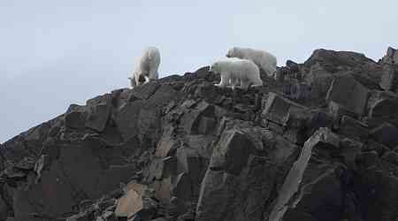 Svalbard: More Regulations, Fewer Travel Options