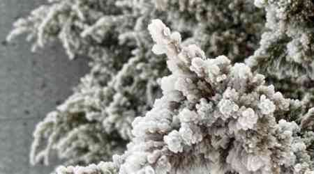 Rime ice, snow pellets cover Taiwan's tallest peaks