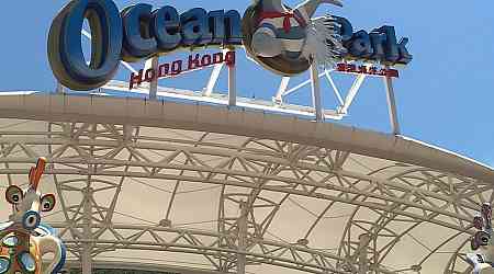 Pandas proving huge drawcard at Ocean Park: chairman