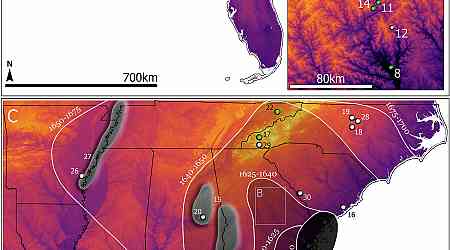 Peaches spread across North America through Indigenous networks, radiocarbon dating and document analysis show