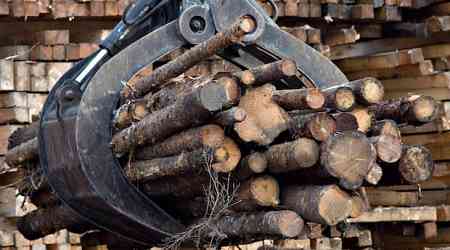 Quebec accused of catering to logging industry as it reviews how forests are managed