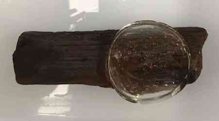 New goo preserves 800-year-old wooden shipwreck samples