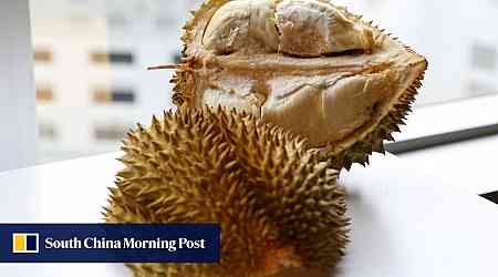 Scientists find key nutrient missing in China-grown durian