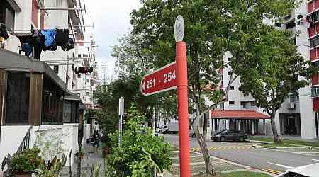 Hougang residents plagued by smell of rat carcasses from drain