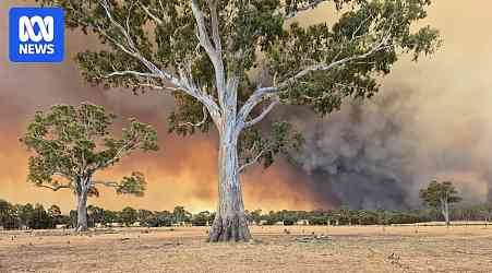 Halls Gap residents told to leave immediately, holiday-makers urged to stay away as Grampians fire triples in size