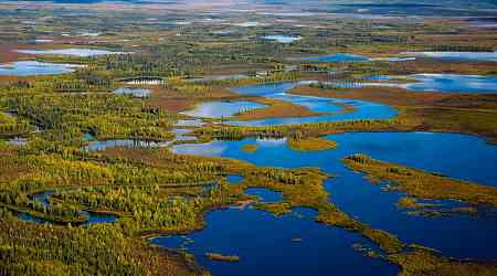 The Famous Bering Land Bridge Was More Like a Swamp, Geologists Say