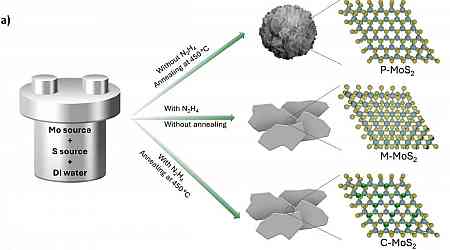 UNSW Develops Miniature Sensor to Detect Nitrogen Dioxide with High Sensitivity