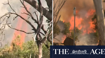 Fears fire south of Adelaide was deliberately lit