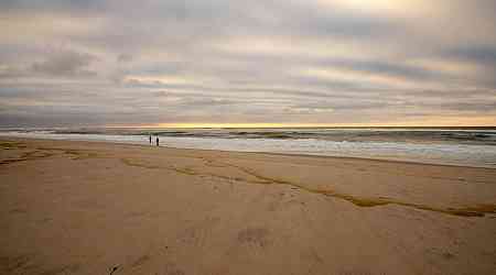 Human jawbone found in sand by beachgoers on an evening stroll