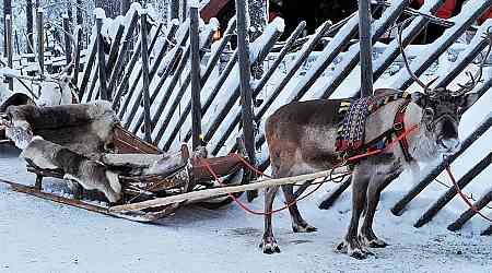 Over 60% in Taiwan misgender Santa's reindeer: Education ministry