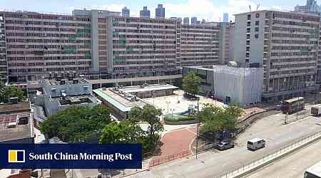 Probe launched after 2 dead puppies found on Hong Kong shopping centre roof