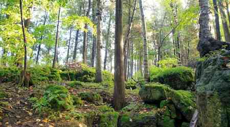 Doctors in this Ontario region can now prescribe nature 'to help people have a better quality of life'