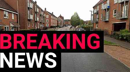 Two women found stabbed to death in house on Christmas Day with man arrested