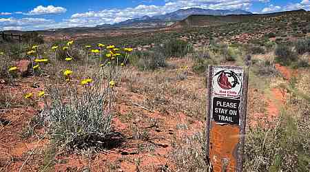 BLM adds to its herbicide arsenal to fight invasive plants in Utah and the West