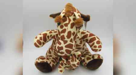 Choking hazard has plush toys recalled across Canada