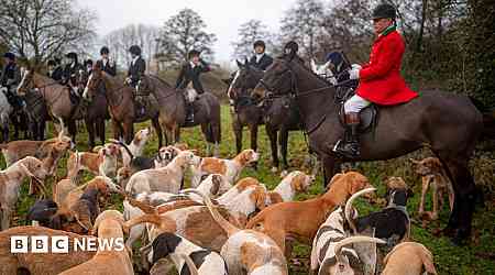 Boxing Day hunt: Government 'committed' to banning trail hunting